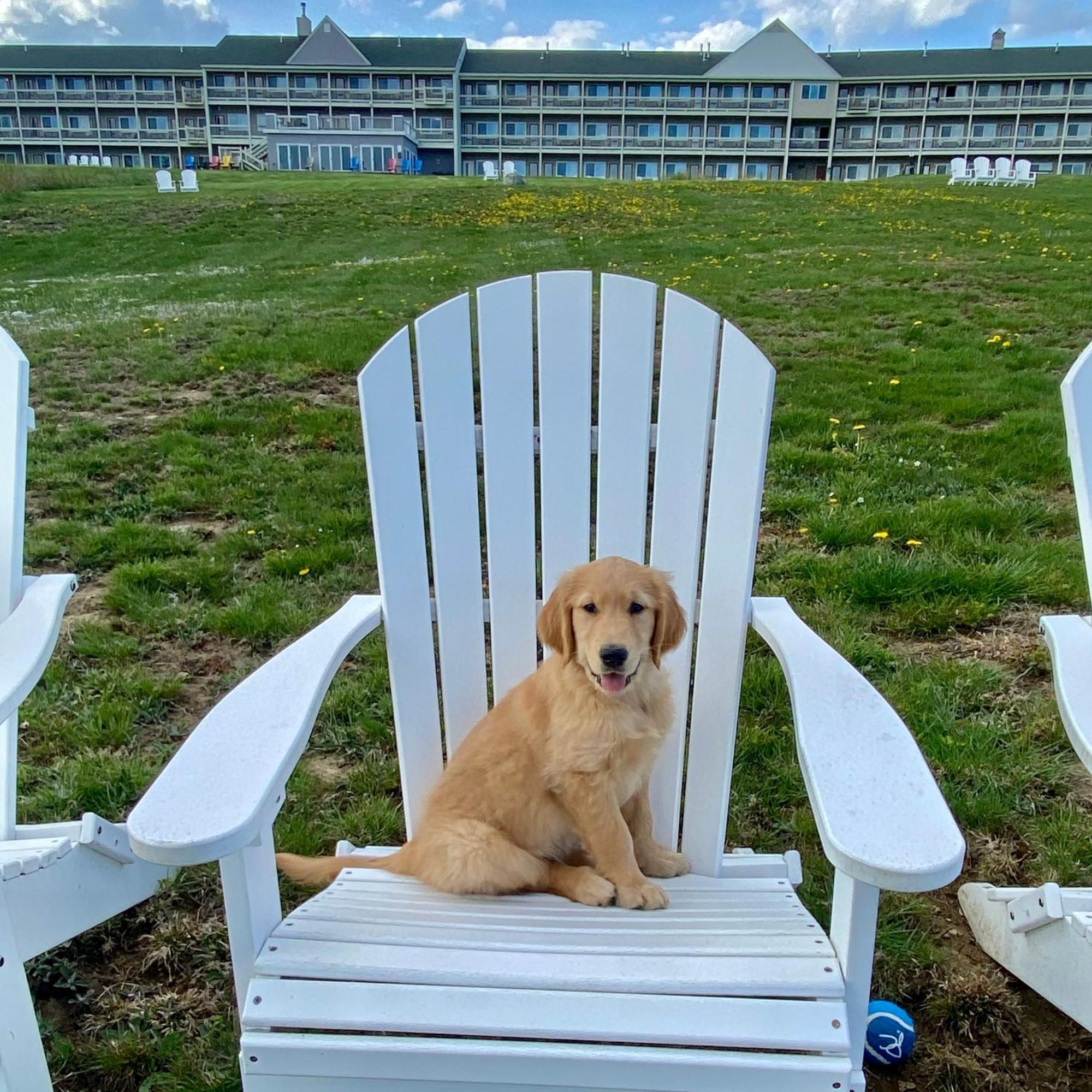 Fireside Inn, Ocean's Edge